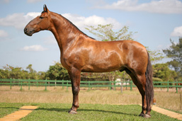 Ultimato